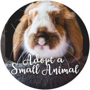 Small animal sanctuary near sales me